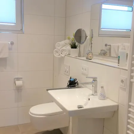 Sterntaucher Olpenitz