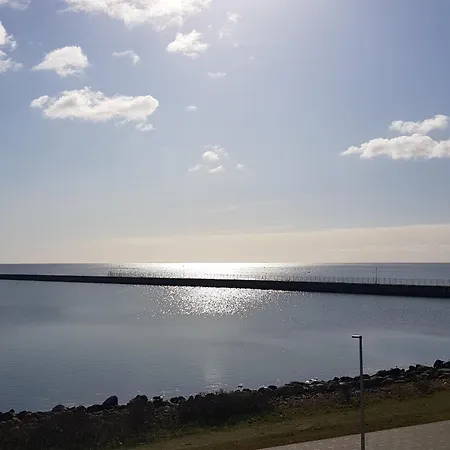 Sterntaucher * Olpenitz