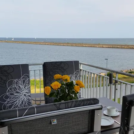 Sterntaucher Olpenitz